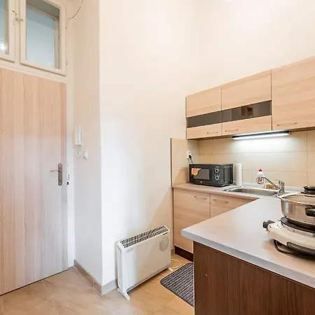 Apartment R Byvanie V Srdci Mesta *